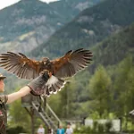 Nyaraló Waldhart *