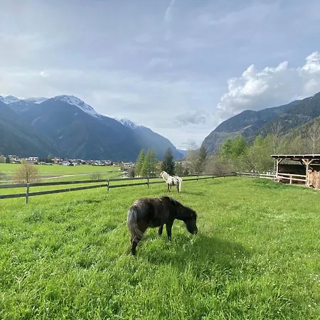 Waldhart