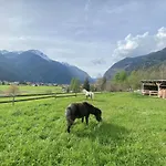 Waldhart
