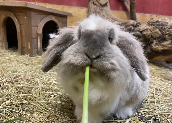 Casa vacanze Waldhart Umhausen