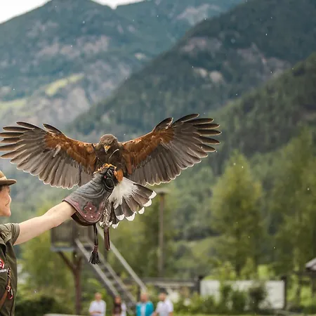 度假居 Waldhart *